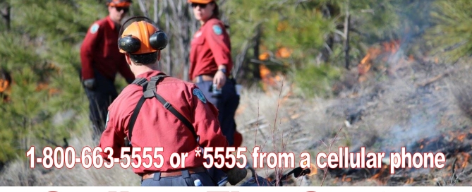 Ecosystem restoration burns to occur in the Cariboo Fire Centre over the next few weeks