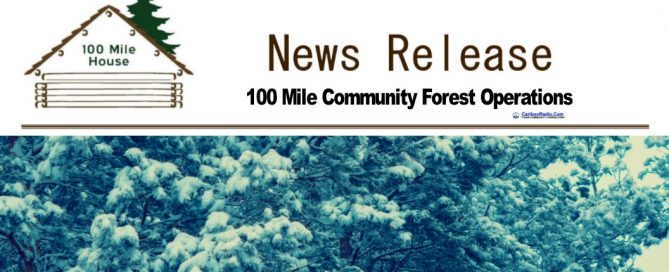 Fuel Management Bark Beetles and Blowdown Focus of 100 Mile Community Forest Operations