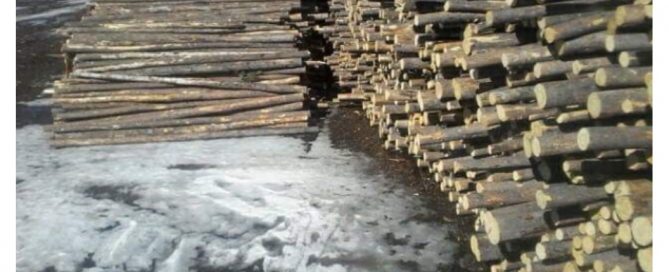 FESBC Funded Fibre Recovery Project underway in Anahim Lake