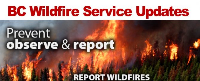 Smoke from pile burns visible near Williams Lake Starting November 18th 2019