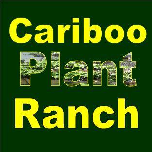 Cariboo Plant Ranch