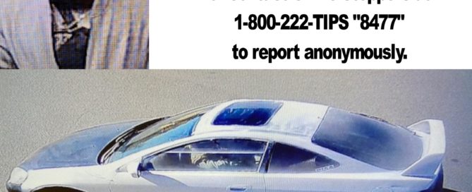100 Mile House RCMP seeking the public's assistance to identify dangerous driver