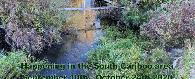 Happening in the South Cariboo area September 10th - October 24th 2020