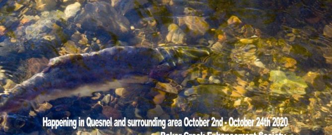 Happening in Quesnel and surrounding area October 2nd - October 24th 2020