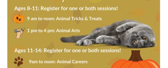 Happening in Quesnel and surrounding area October 8th - October 14th 2020