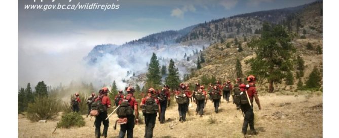 Employment opportunities in the Cariboo Fire Centre for 2021